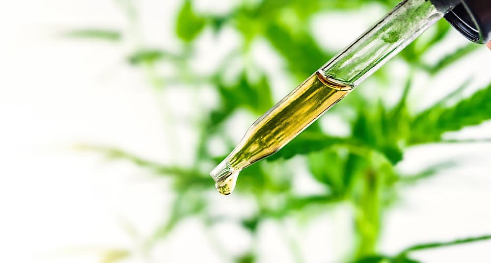 Risky business: CBD use by commercial drivers