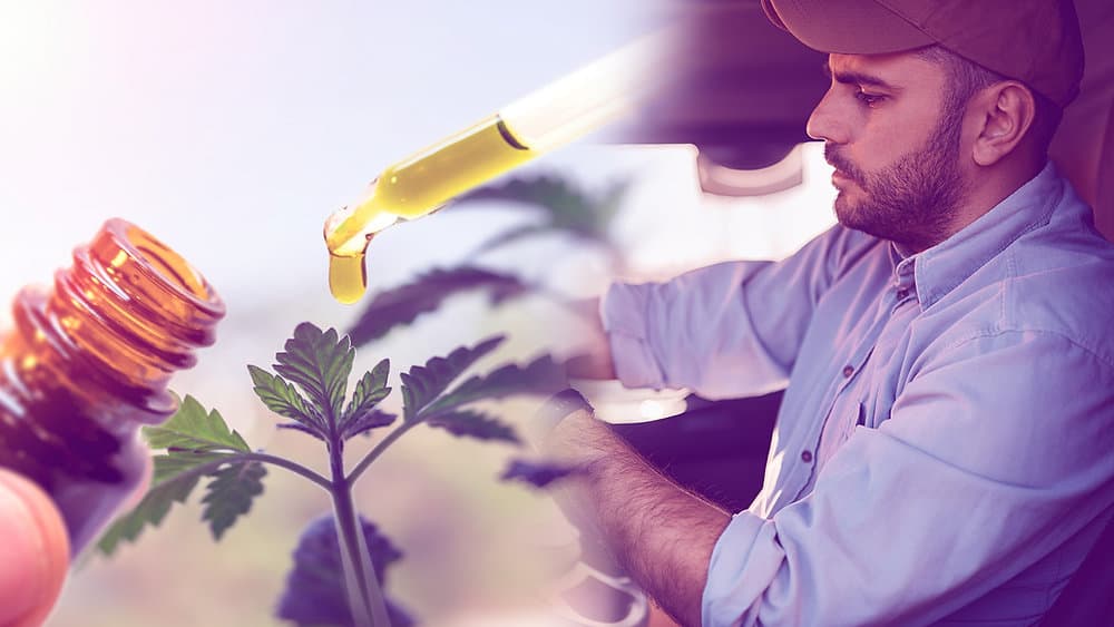 Trucksafe discusses the pitfalls of CBD use among drivers with PrePass